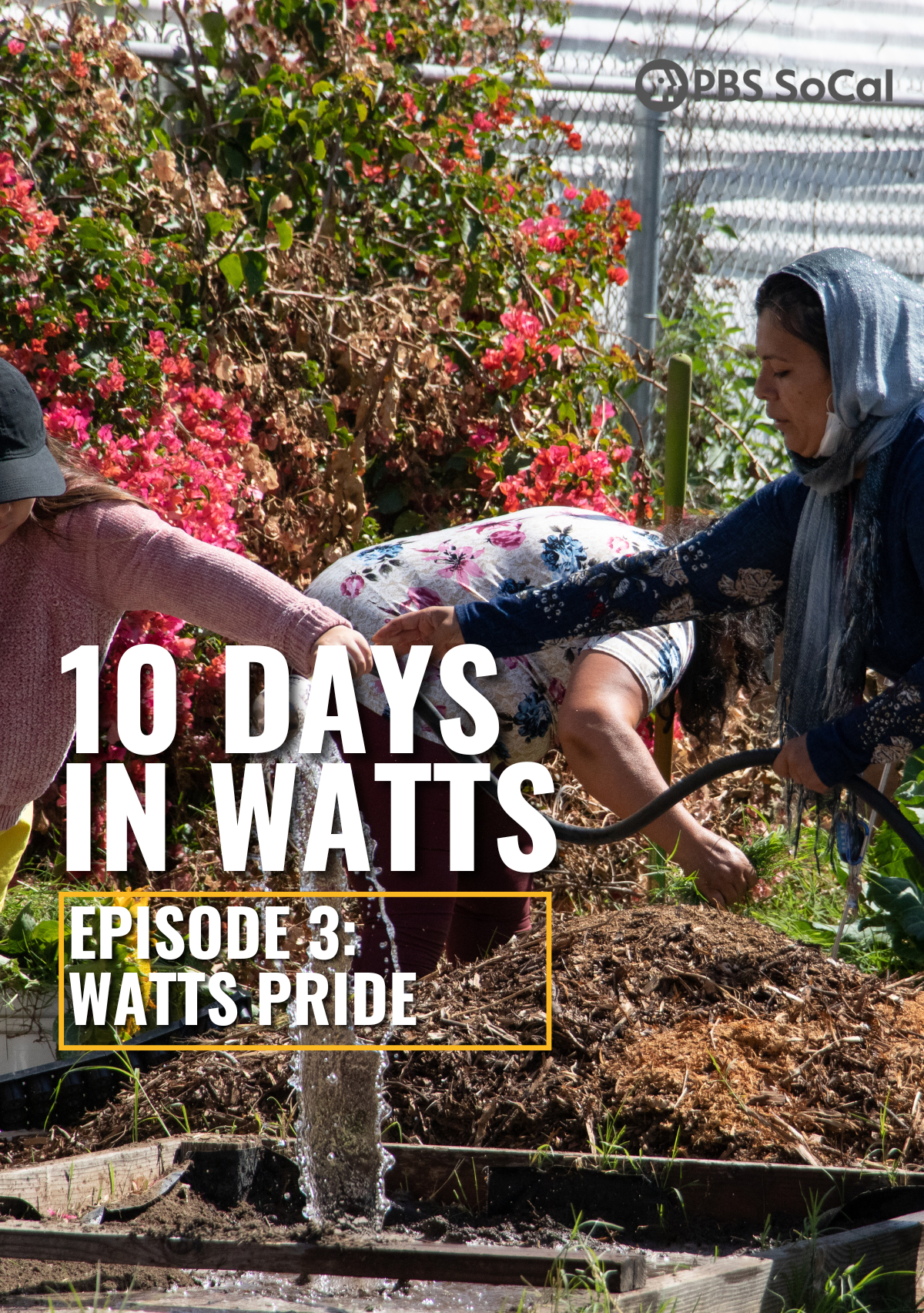 10 Days in Watts: Episode 3: Watts Pride