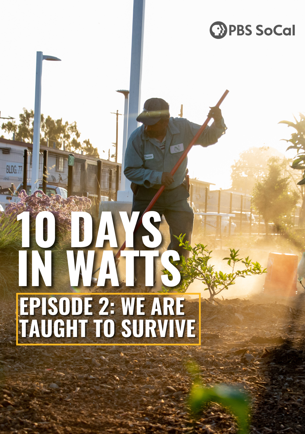 10 Days in Watts: Episode 2: We Are Taught to Survive