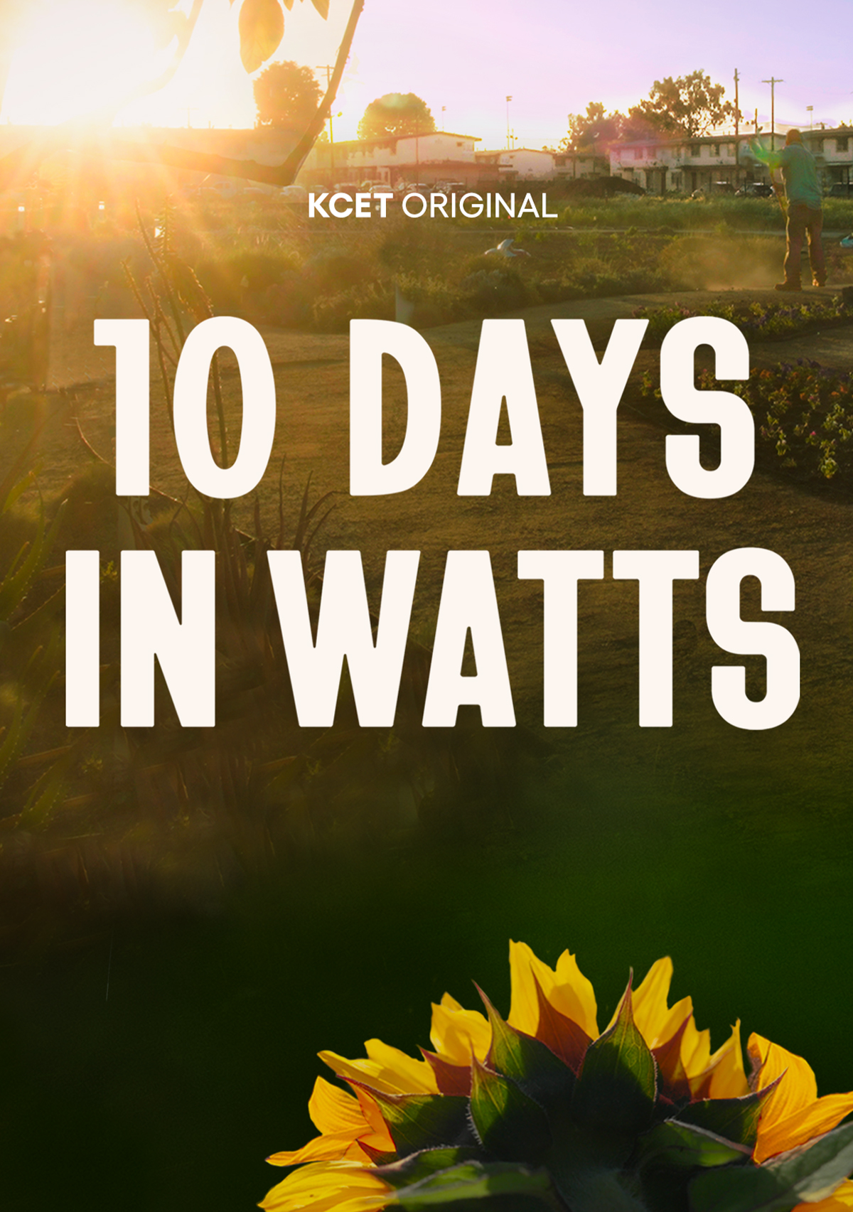 10 Days in Watts